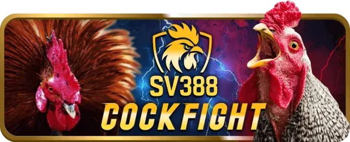 Quy trình rút tiền nhanh chóng tại 118bet nhà cái